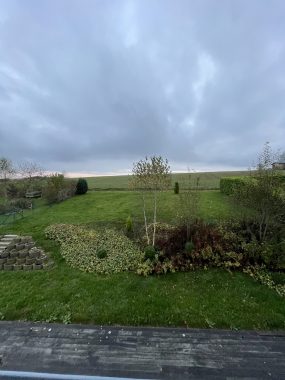 IMG_5296